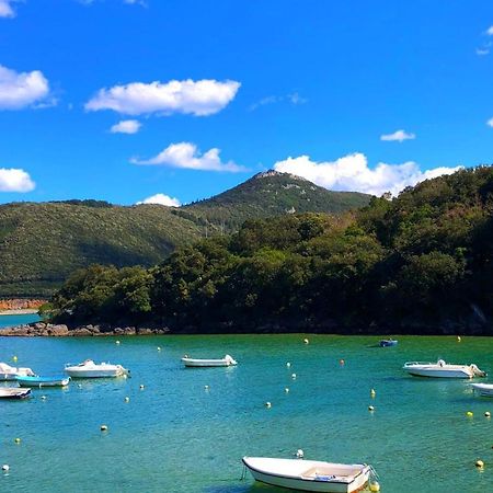 Sokaire De Urdaibai Junto A Mundaka Διαμέρισμα Sukarrieta Εξωτερικό φωτογραφία