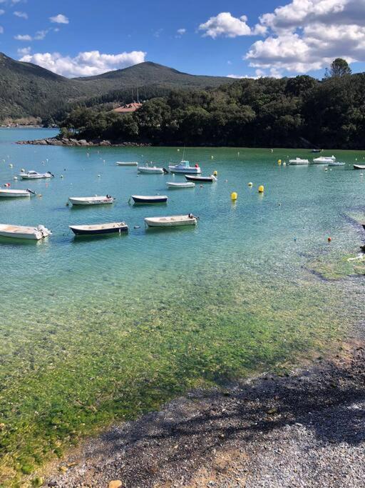 Sokaire De Urdaibai Junto A Mundaka Διαμέρισμα Sukarrieta Εξωτερικό φωτογραφία